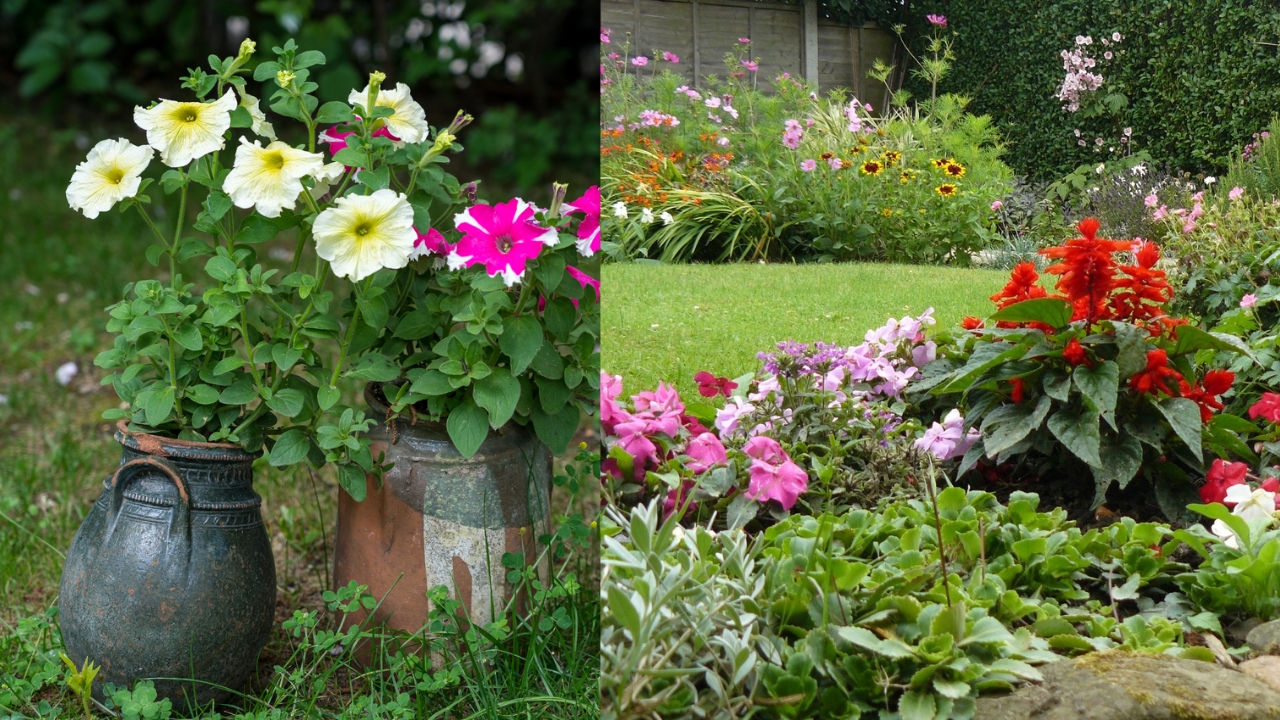 Técnicas De Irrigação Econômicas Para Um Jardim Sustentável